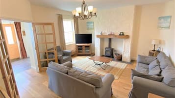 Smart TV, fireplace, DVD player, books