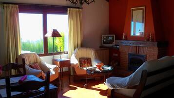 Una televisión, una chimenea, libros