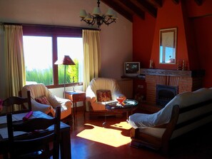 TV, fireplace, books