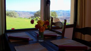 A table with a vase of flowers, a chair, and a view of a green field and mountains through large windows.