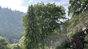 Un jardin bien entretenu, avec des haies soigneusement taillées, une variété d’arbres et une table de pique-nique.
