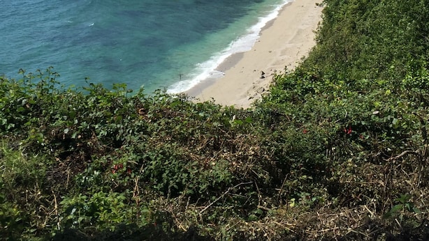 A coastal landscape with a sandy beach, rocky cliffs, and lush greenery. - PRISTINE APARTMENT, 4 MIN WALK TO PRIVATE BEACH, STUNNING SEA VIEWS. (Duporth)