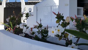 Un edificio bianco con un muro in pietra e un cancello in metallo. In primo piano, fiori bianchi.