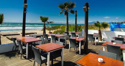 Typical beach house, ping pong table, pool (45m2), garden