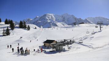 Sne- og skisport