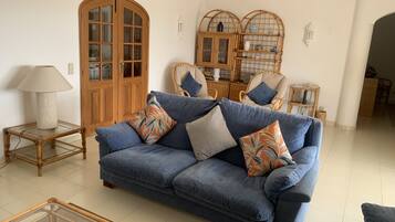 Smart-tv, een open haard, een dvd-speler en boeken