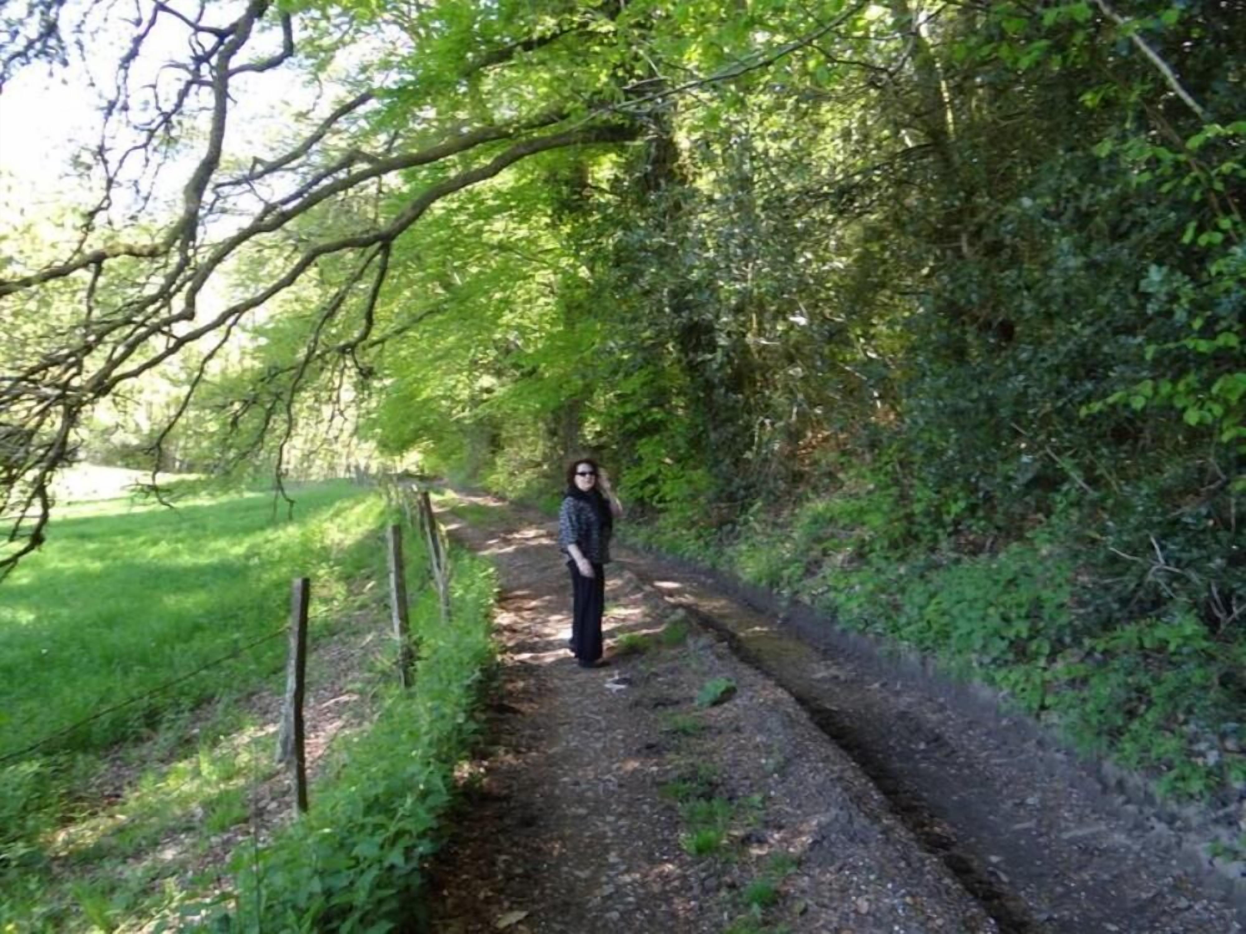 A narrow, unpaved path surrounded by dense greenery and trees.