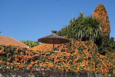 Extremely Popular Villa With Large Private Garden, Pool and Parking. Great View