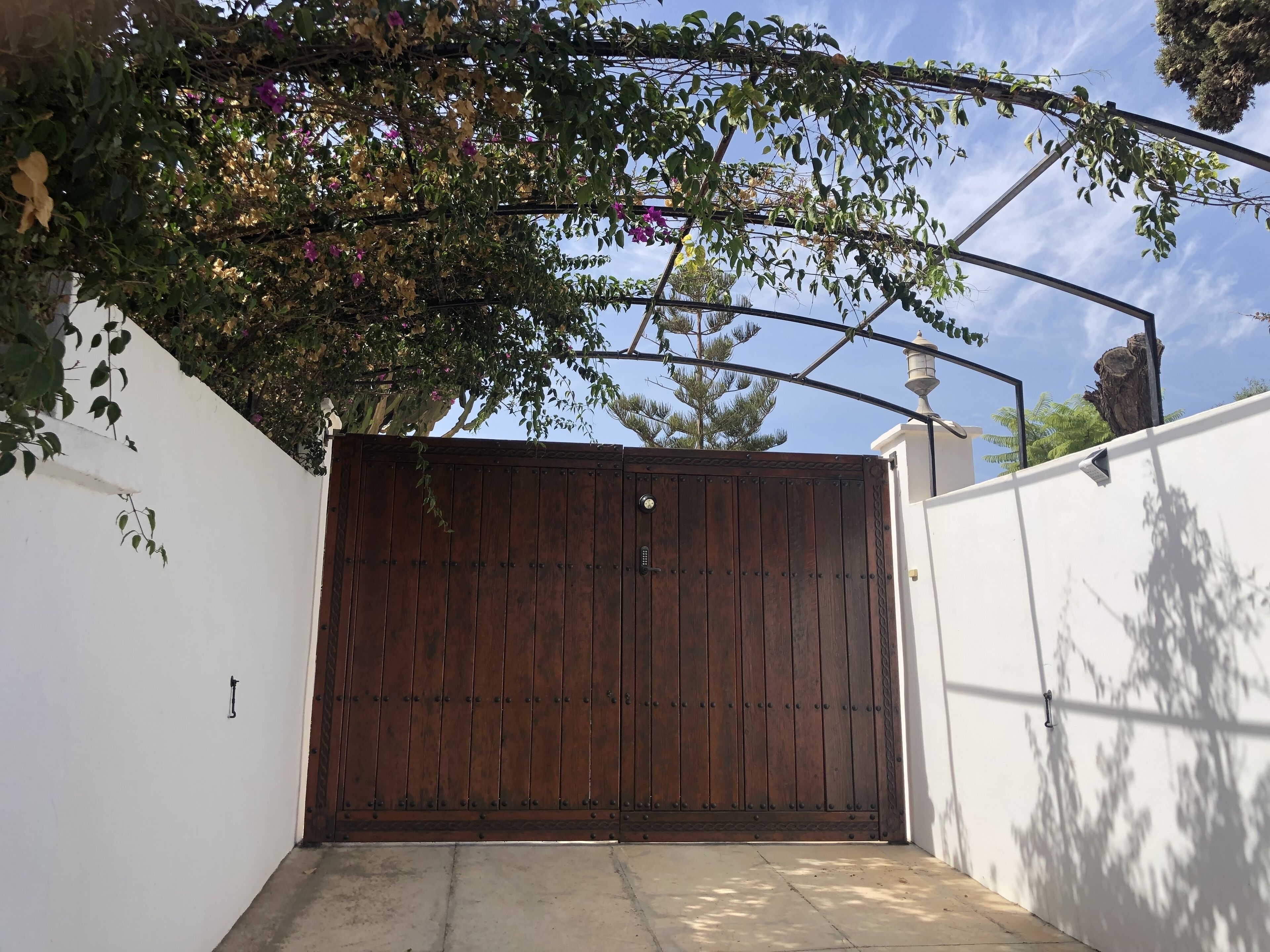 A gated entrance with a wooden door, white walls, and a tree with purple flowers.
