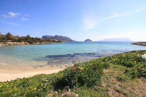 A coastal landscape with clear blue waters, sandy beach, and green vegetation.