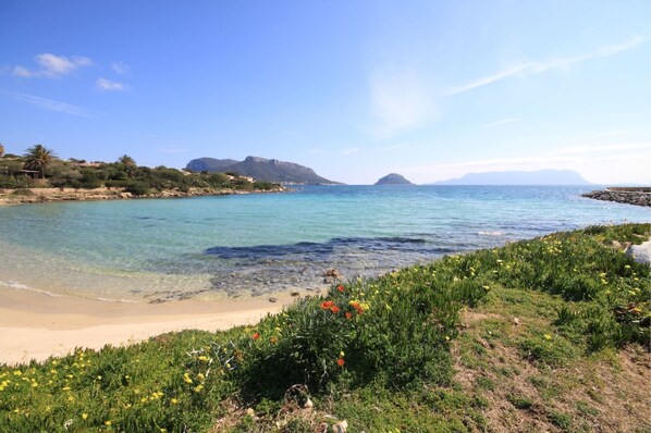 Beach - APPARTAMENTI S'ABBA E SA PEDRA - S'ABBA DI GIU' (Golfo Aranci)