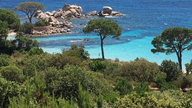 A coastal landscape with rocky outcrops, clear turquoise waters, and dense green vegetation. - Luxury mini villa with garden & swimming pool in residence, 800m from the beach (Zonza)