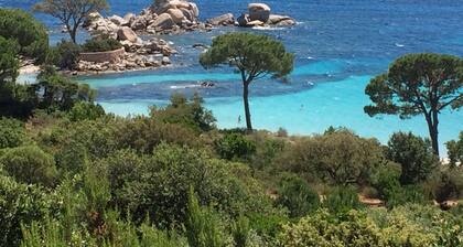 Luxury mini villa with garden & swimming pool in residence, 800m from the beach