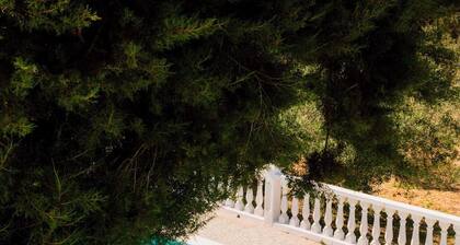 Villa Can Vincent near to San Antonio