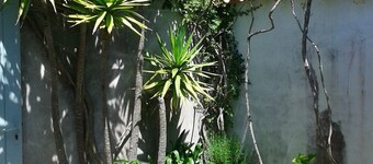 Maison 140 m2 - WIFI- à 100m de la plage. 3 chambres - 3 salles de bain -3 WC   