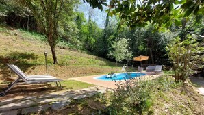 Un jardin avec une piscine, des chaises longues et une pergola dotée d’un parasol.