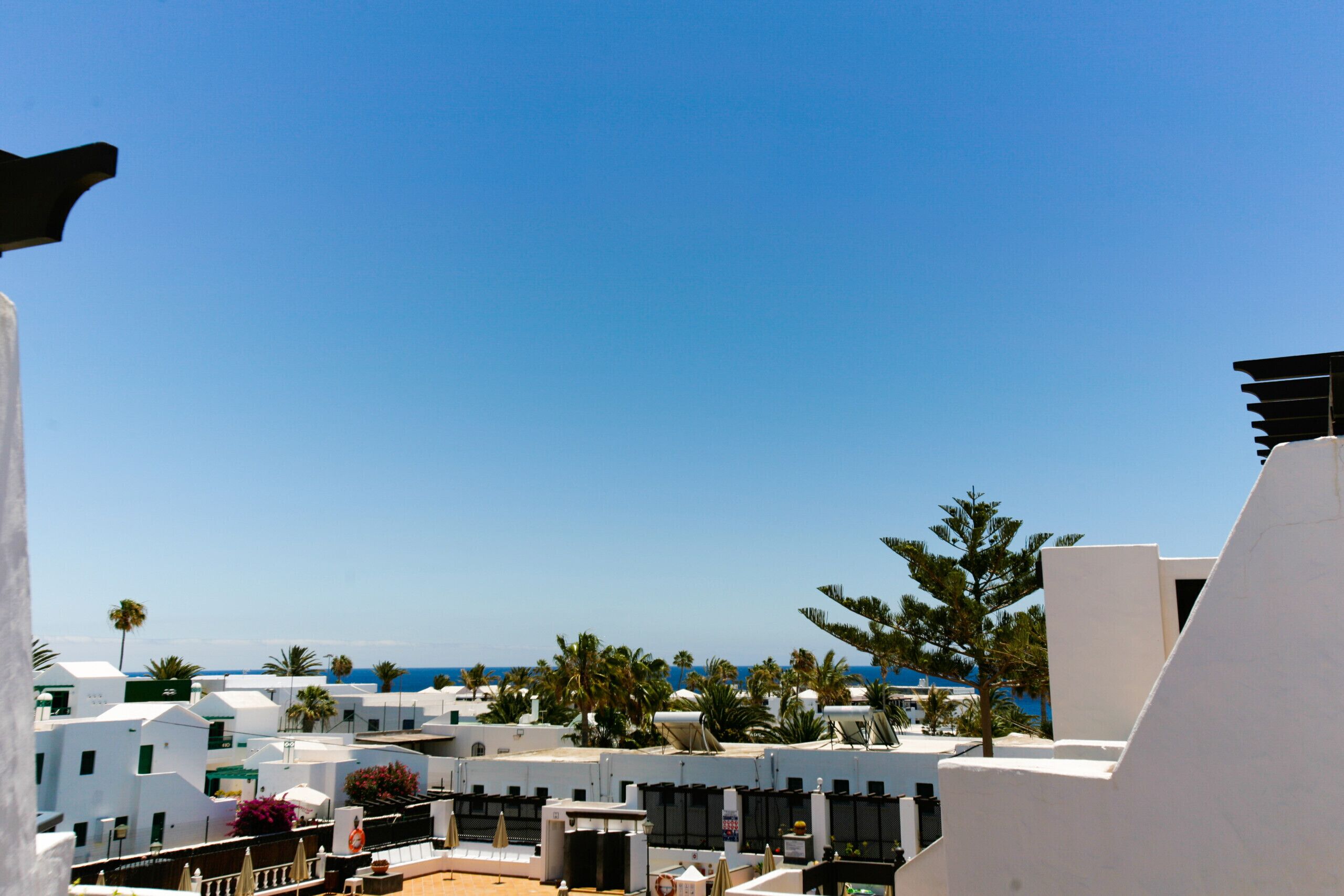 Un hôtel situé sur la côte, avec des bâtiments blancs, des palmiers et une vue sur la mer.