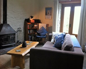 TV, fireplace, DVD player, books - Cosy Barn In lovely quiet location In The Brecon Beacons (Llandovery)