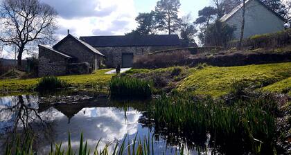 Cosy Barn In lovely quiet corner of Bannau Brychieniog (Brecon Beacons)