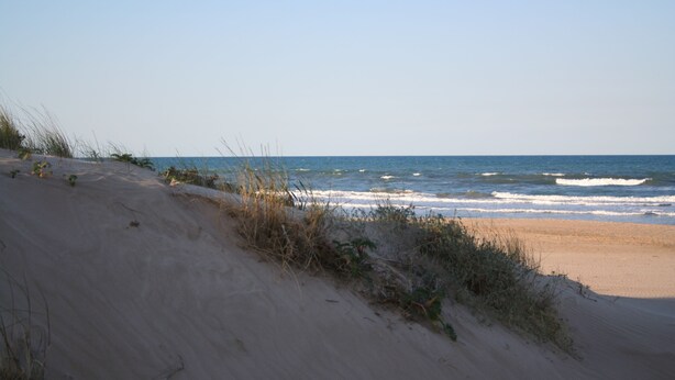 Una playa con dunas de arena y el océano.