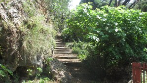 A set of stone steps leading up a rocky hillside, surrounded by lush greenery and a red gate. - Villa in Maratea   Walking Distance From The Beach  CIN-IT076044C203105001 (Acquafredda,  Maratea)