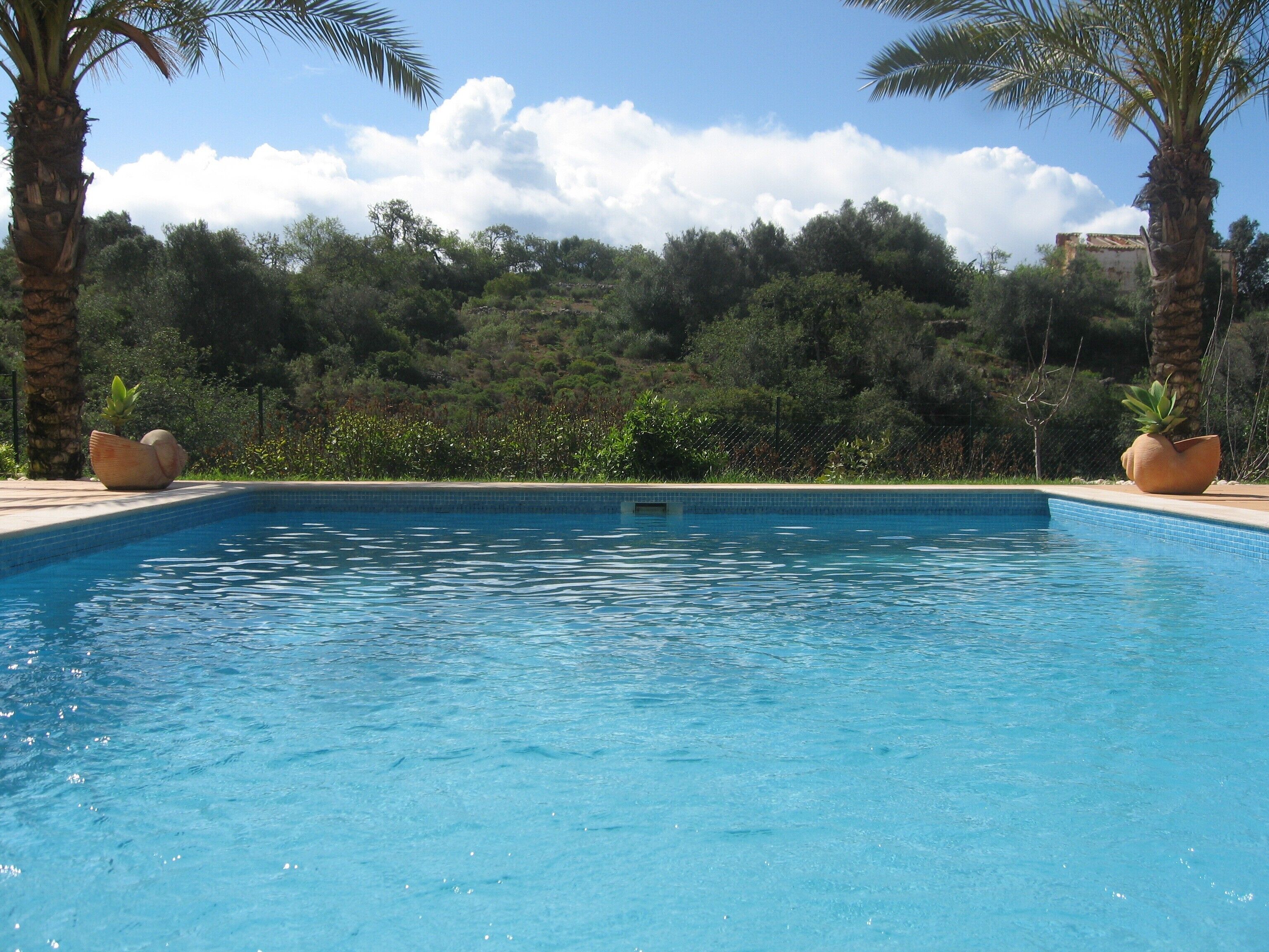 Large Dimension Pool