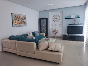 TV connectée, cheminée, lecteur de DVD, livres