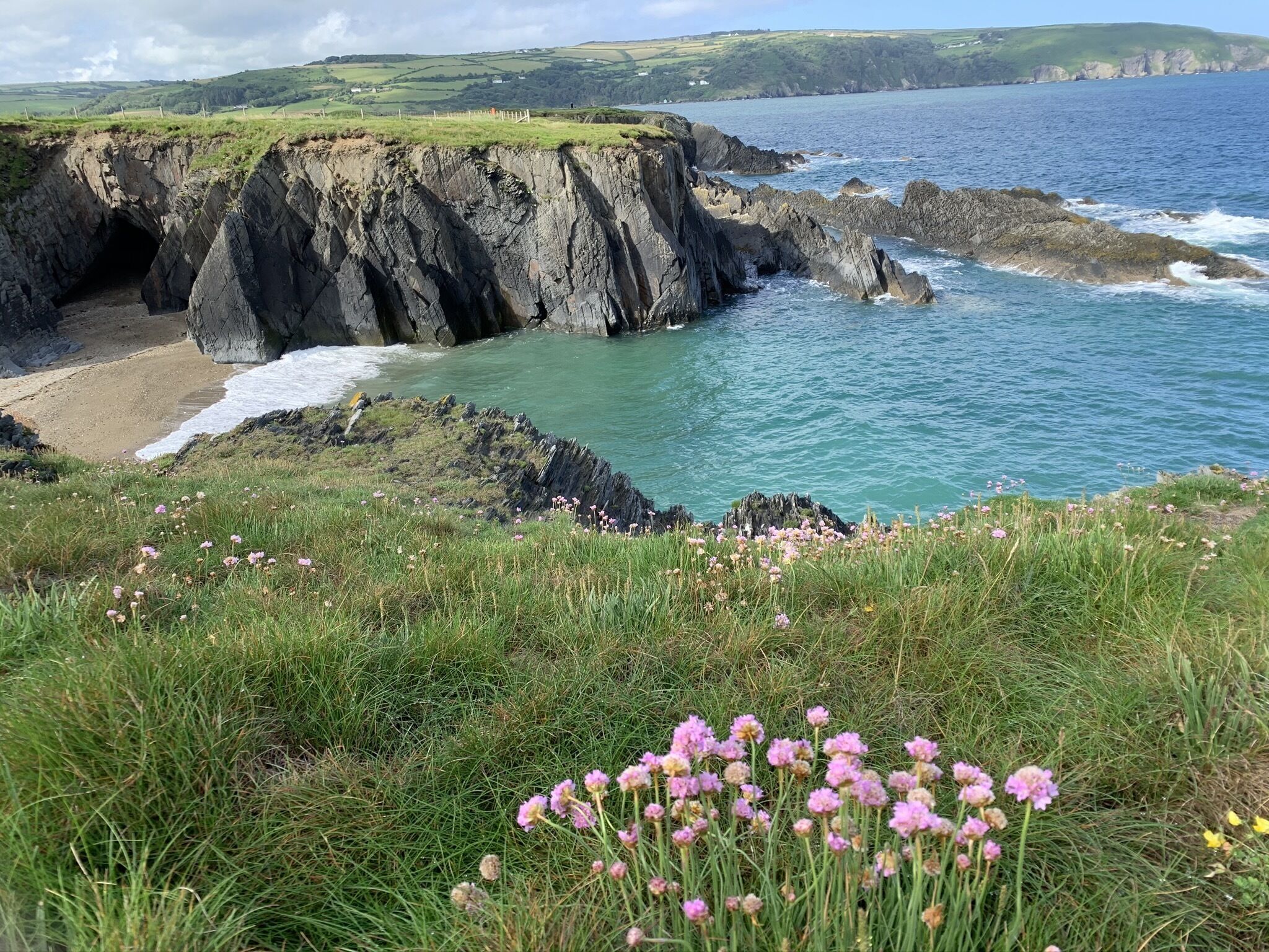 A coastal landscape with cliffs, a beach, and grassy areas with pink flowers.