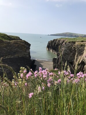 Sun loungers - 3-bed holiday cottage with spectacular sea views (Gwbert)