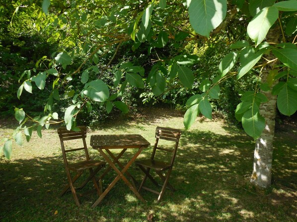 A wooden table and two chairs in a garden with dense foliage.