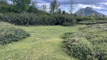 2 habitaciones, tabla de planchar con plancha y cuna de viaje