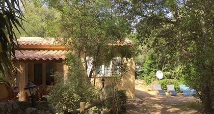 House / Villa - Porto vecchioHouse with garden