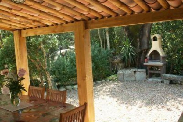 Terrasse / Balkon
