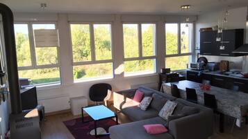 Televisie, een dvd-speler, boeken en een stereo