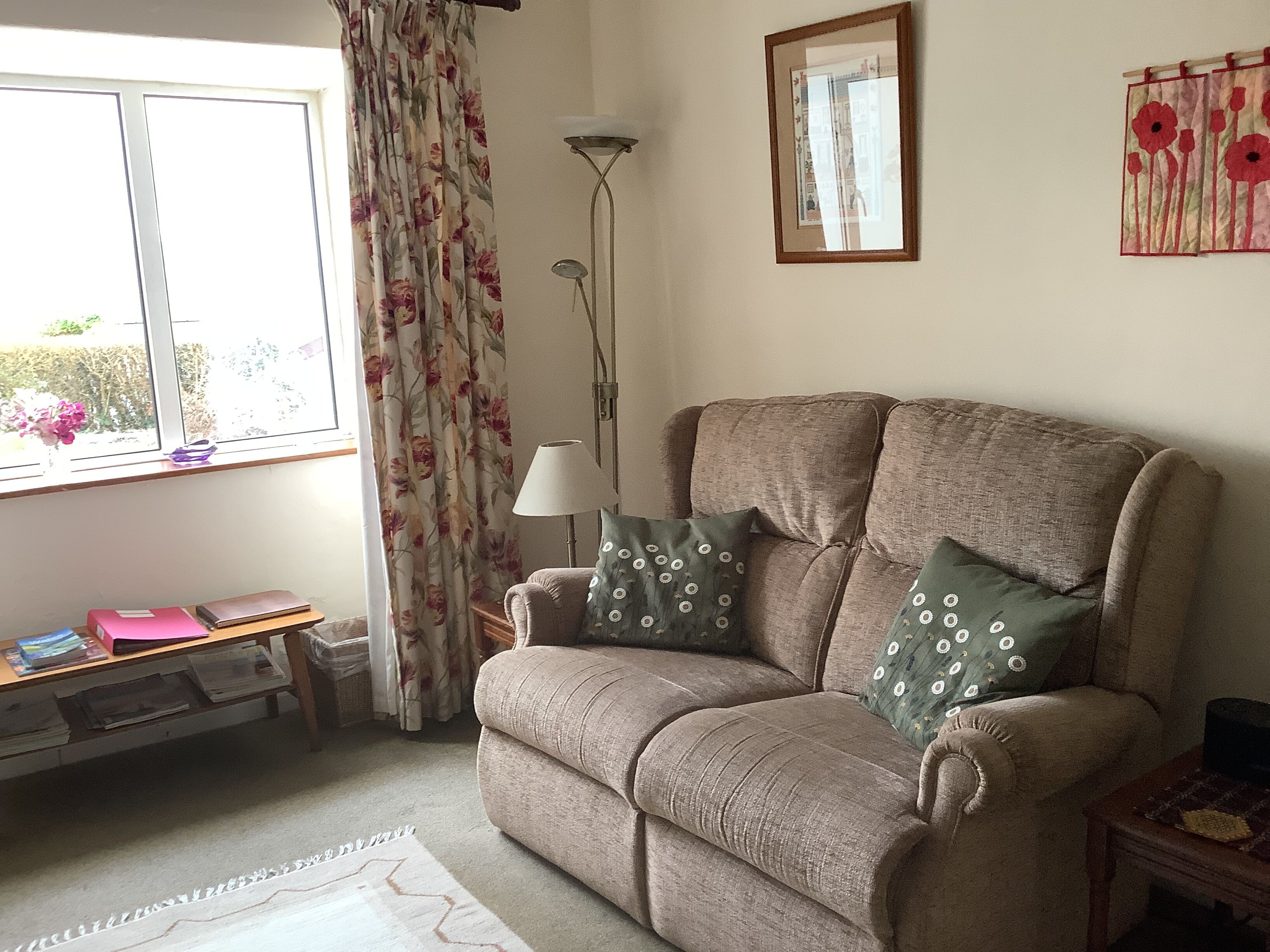 Smart TV, DVD player, books, music library