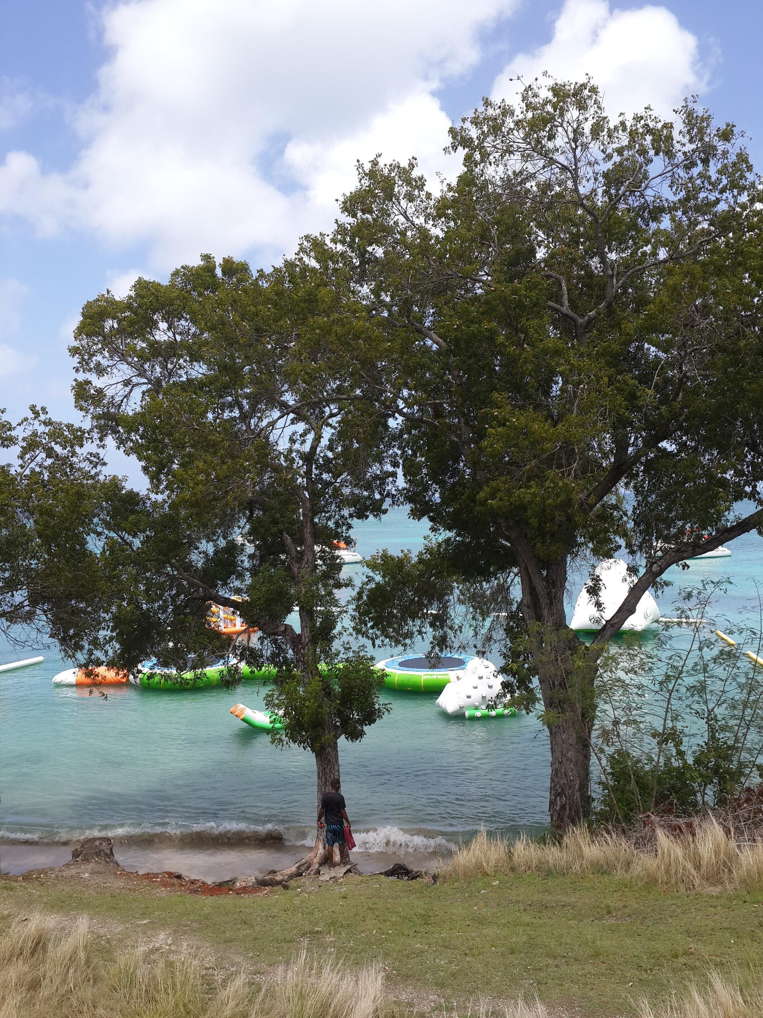 Ein Strand mit Bäumen und aufblasbaren Rafts im Wasser.