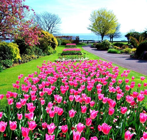 Charming Character Cottage in Picturesque Village 5 * rated