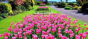 素敵な村の設定で魅力的なキャラクターコテージ。 5 *定格