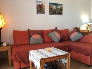 TV, DVD player, books, music library