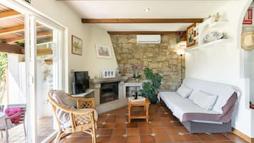 Télévision, cheminée, livres