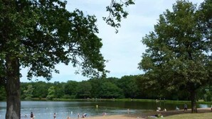 Un parc au bord du lac, avec des arbres, une plage de sable et des gens qui profitent de l’eau.