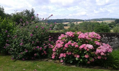 Nice typical house in french counrtyside, ideal for resting holidays in family!