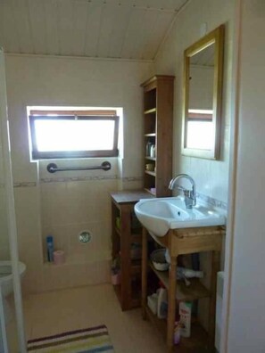Shower, hair dryer, soap, toilet paper