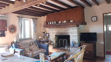 Una televisión, una chimenea, un reproductor de DVD, libros