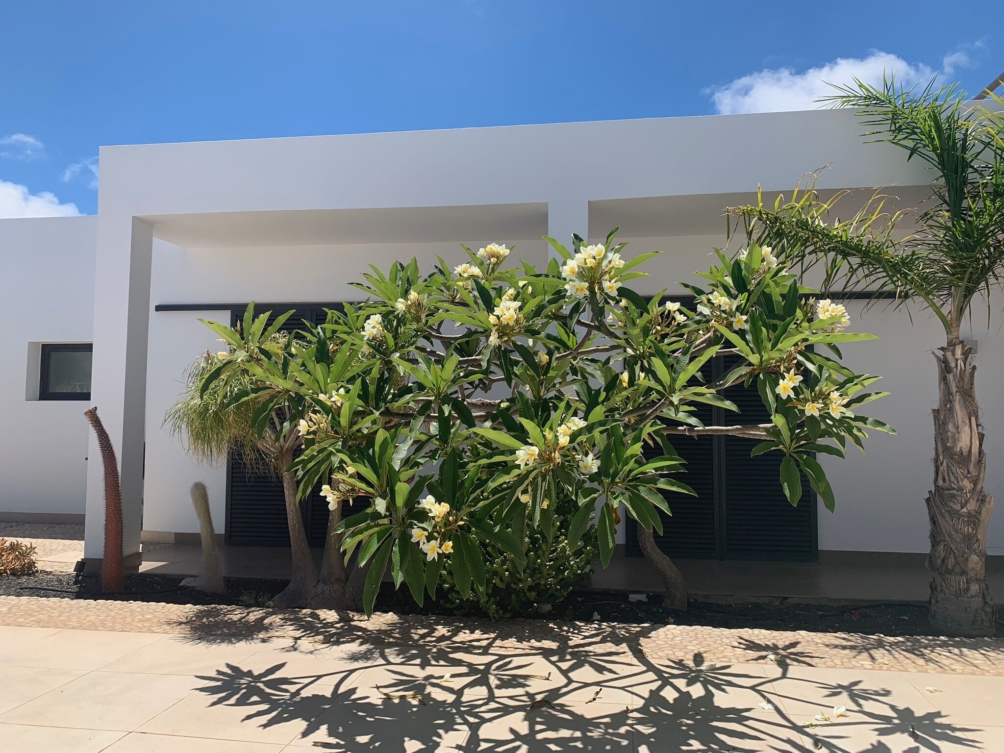 Área da propriedade