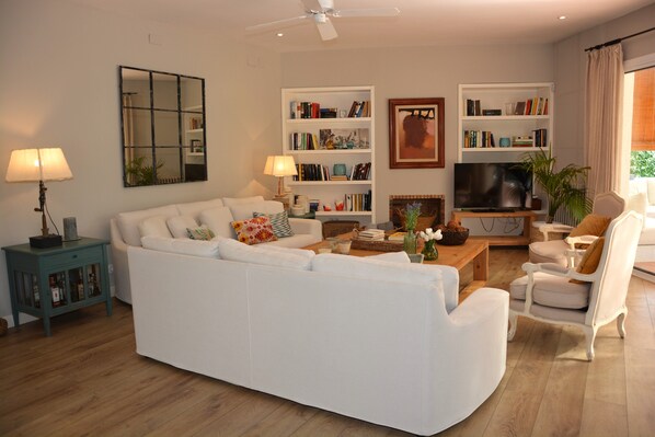 TV, fireplace, table tennis, books