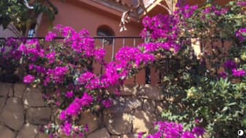 Details aan de buitenkant