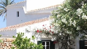 A white building with a stone wall, a small tree, and a flower bush. - Charming house in the old part of Sant Lluis, near the mill (Sant Lluís)