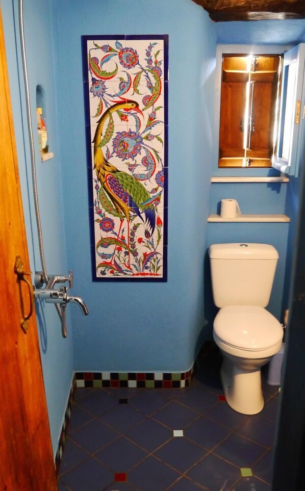 A bathroom with a blue wall, a white toilet, and a shower with a wooden door.