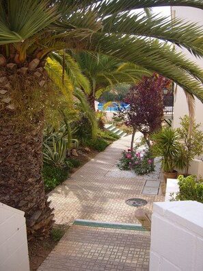 المنطقة المحيطة بالمنشأة